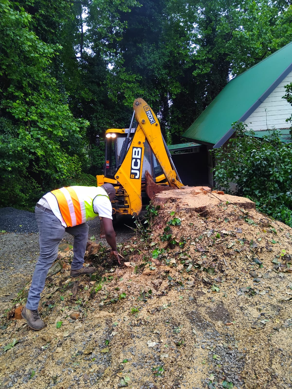 Tree felling KZN - EMS Tree Felling job photo
