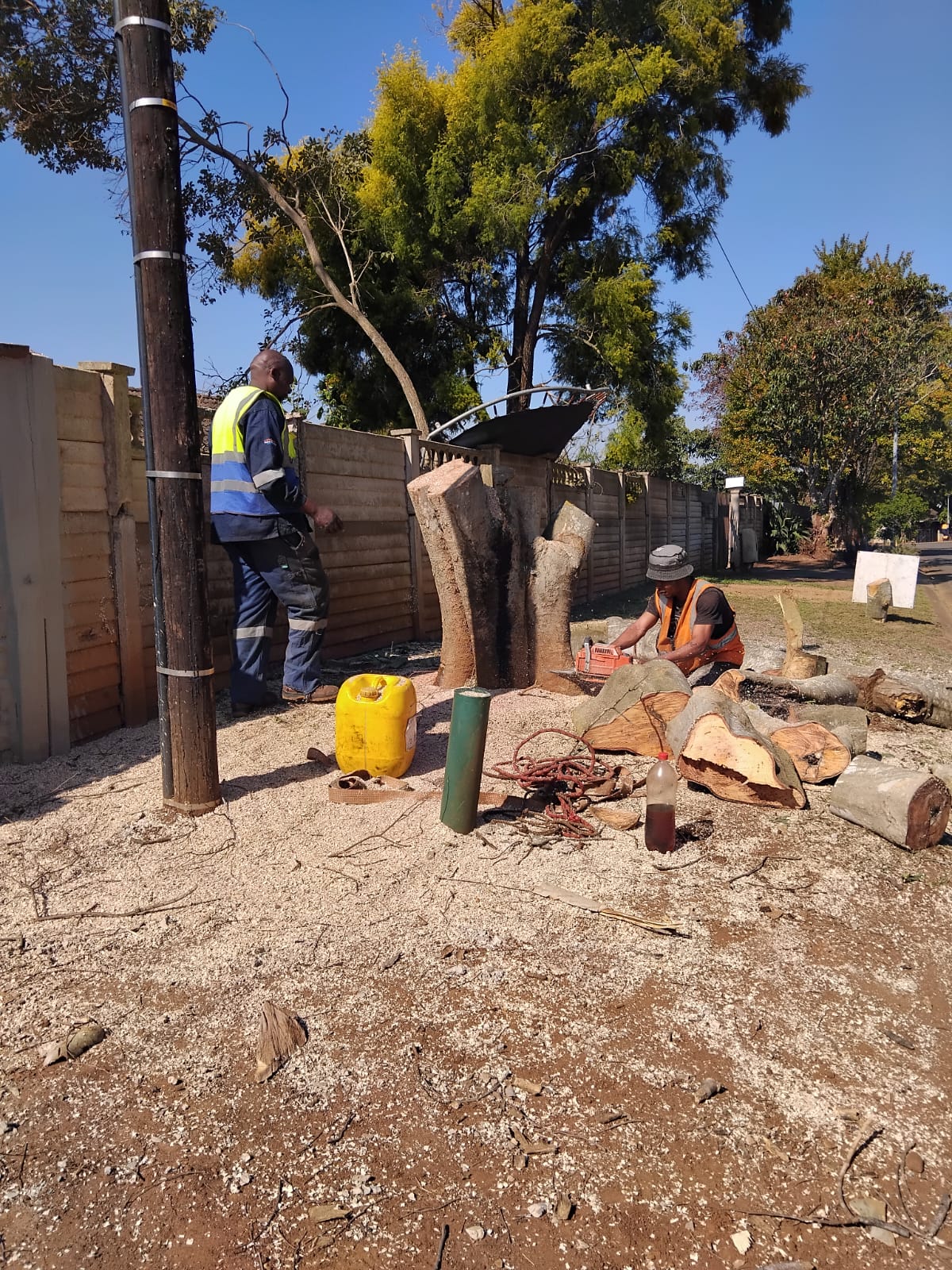 Tree pruning KZN - EMS Tree Felling job photo